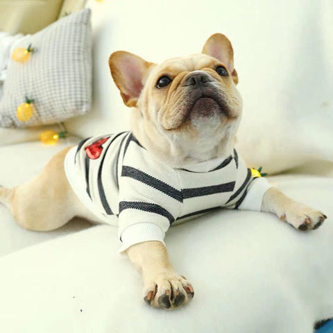 T-skjorte med hjertetrykk og striper til hund